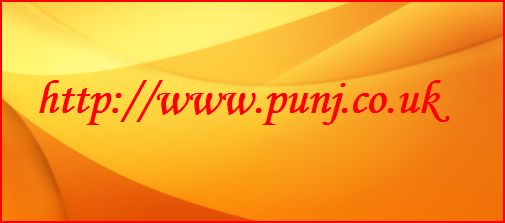 http://www.punj.co.uk - punj advanced technology site Link Button